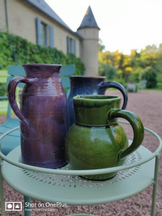 Chateau De Saint Etienne エクステリア 写真