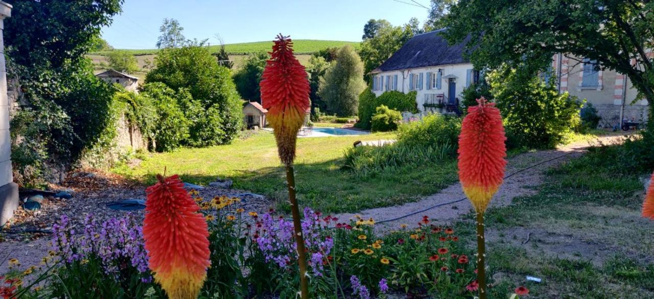 Chateau De Saint Etienne エクステリア 写真